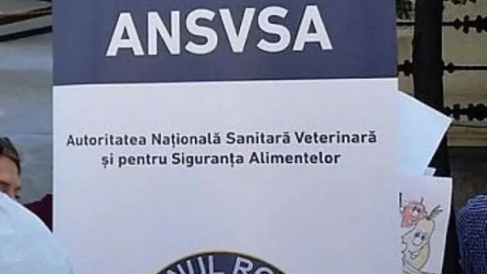 Aproape 260.000 de lei amenzi pentru unitățile alimentare din benzinării, după controalele ANSVSA