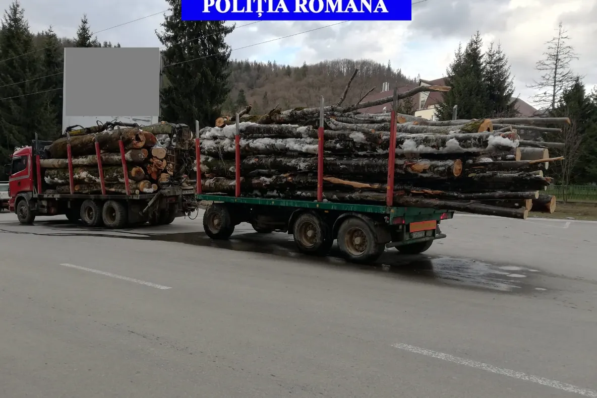 Amenzi de mii de lei în urma unor controale în domeniul silvic