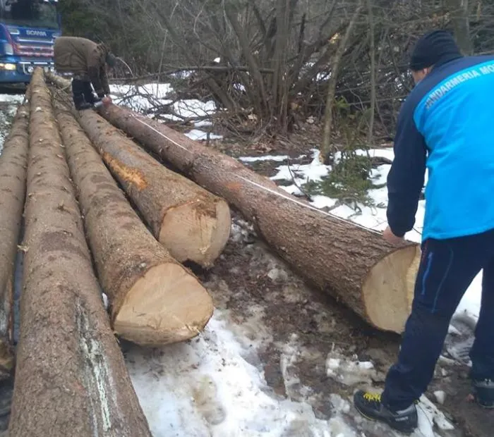 Concursuri sportive şi de istorie, ştafetă de alergare şi Porţi Deschise la Sfântu Gheorghe de Ziua Jandarmeriei