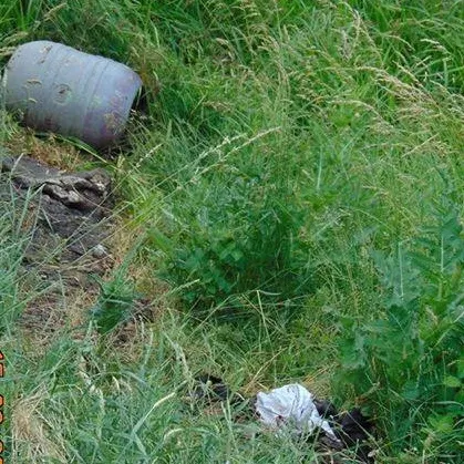 Excremente în butoi, pe o stradă din municipiul Sfântu Gheorghe