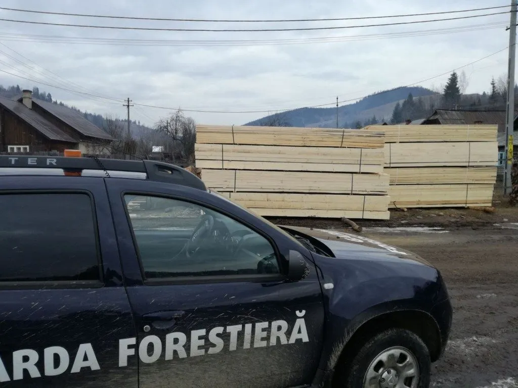 Amenzi de 6.000 lei în urma unei acțiuni comune a IPJ Covasna şi Gărzii Forestiere