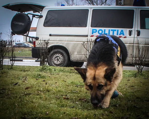 Copilă de 14 ani dispărută de acasă, găsită de polițiști