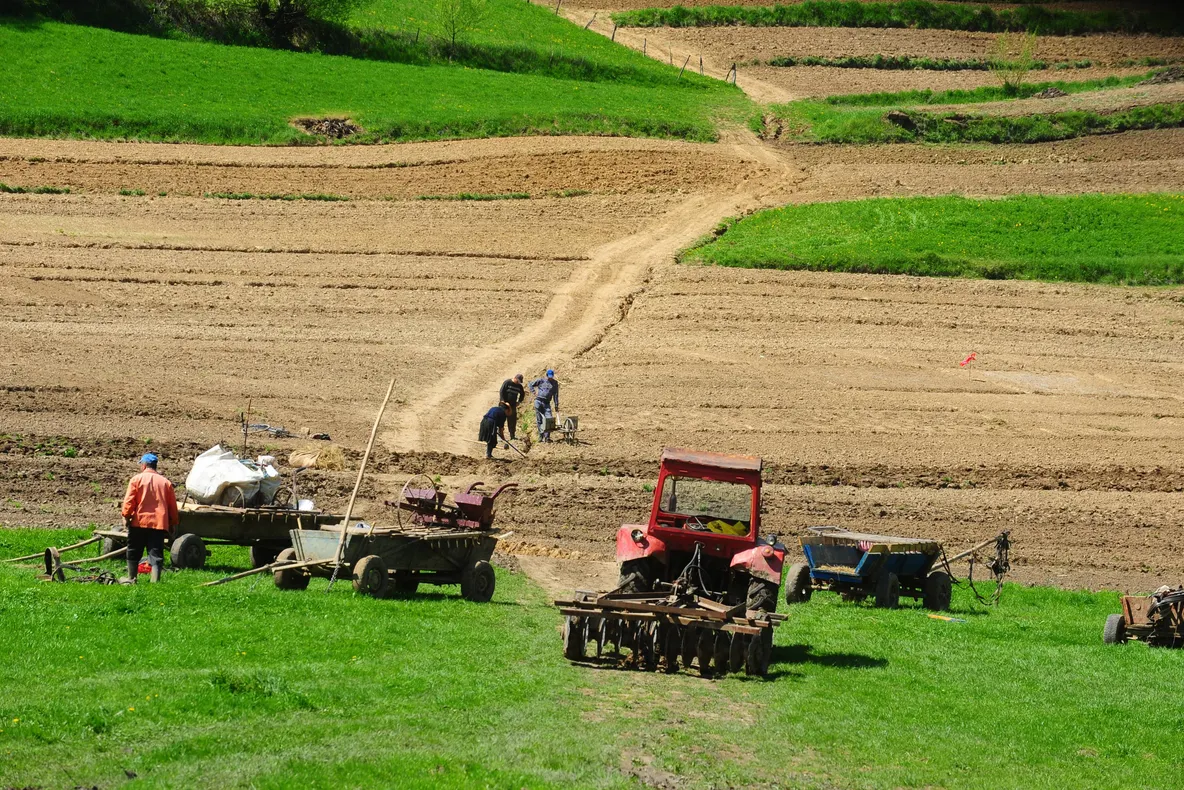 Prețurile terenurilor agricole în Covasna, Harghita și Brașov, între 4.000 și 7.000 de euro/ ha