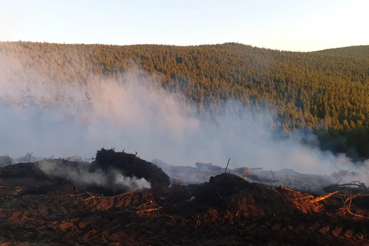 Incendiu de pădure în zona Apa Roşie. Pompierii au intervenit aproape 6 ore!
