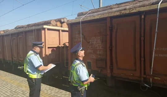 Peste 7.400 mc de lemne care trebuiau să ajungă în Alba şi Covasna, confiscate de poliţişti