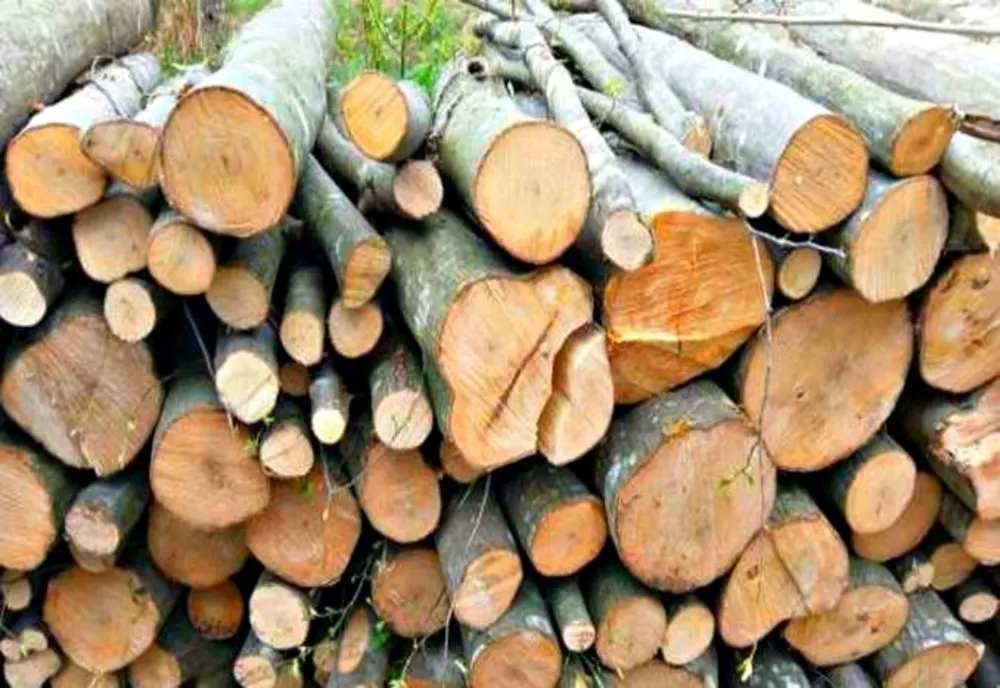 Analiză: Cât costă metrul cub de lemne în județul Covansa