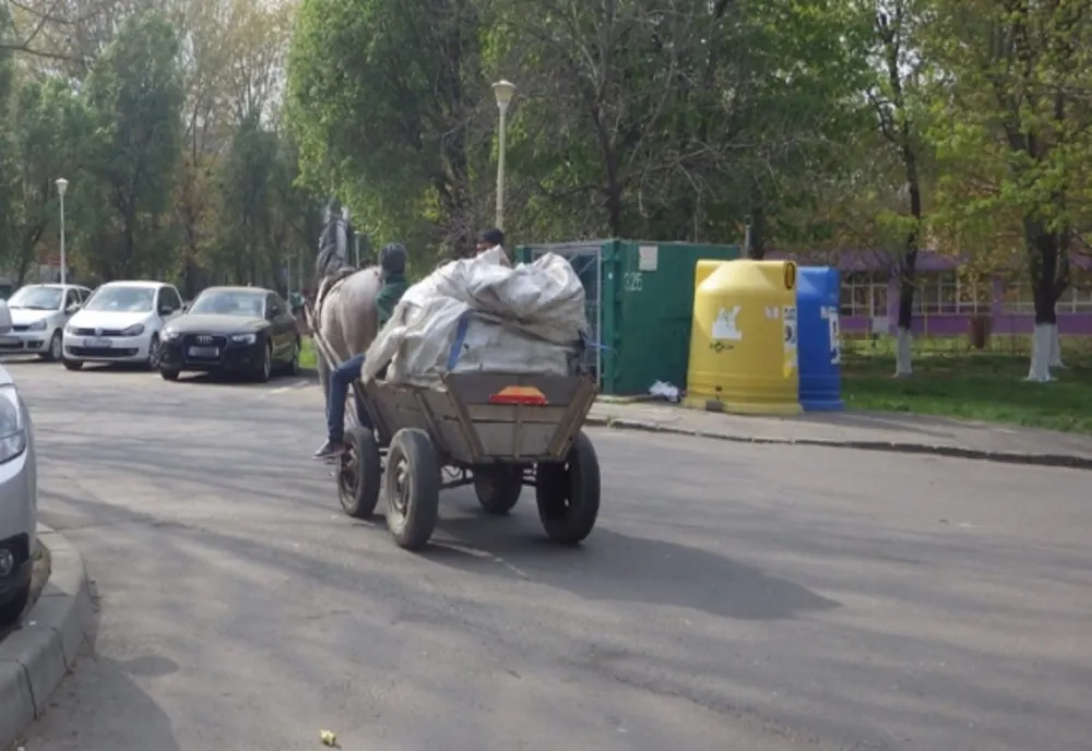 Prinşi după ce au furat mai mulţi baloți de fân