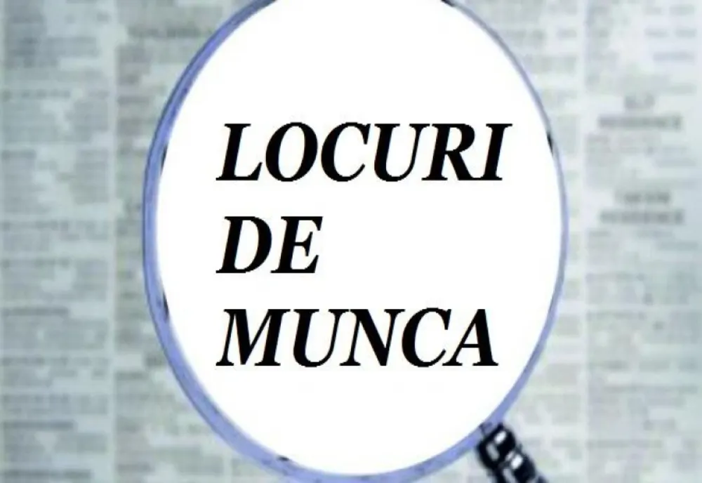 Peste 20 de locuri de muncă disponibile în Primăria Sfântu Gheorghe