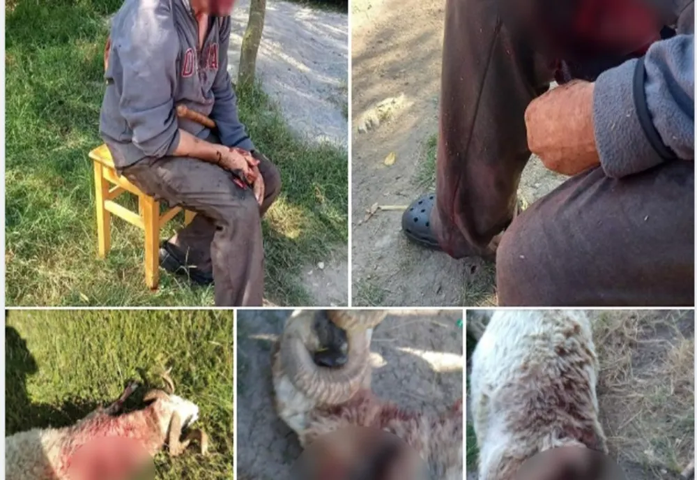 Imagini cu puternic impact emoțional! Bărbat atacat de urs la Belin