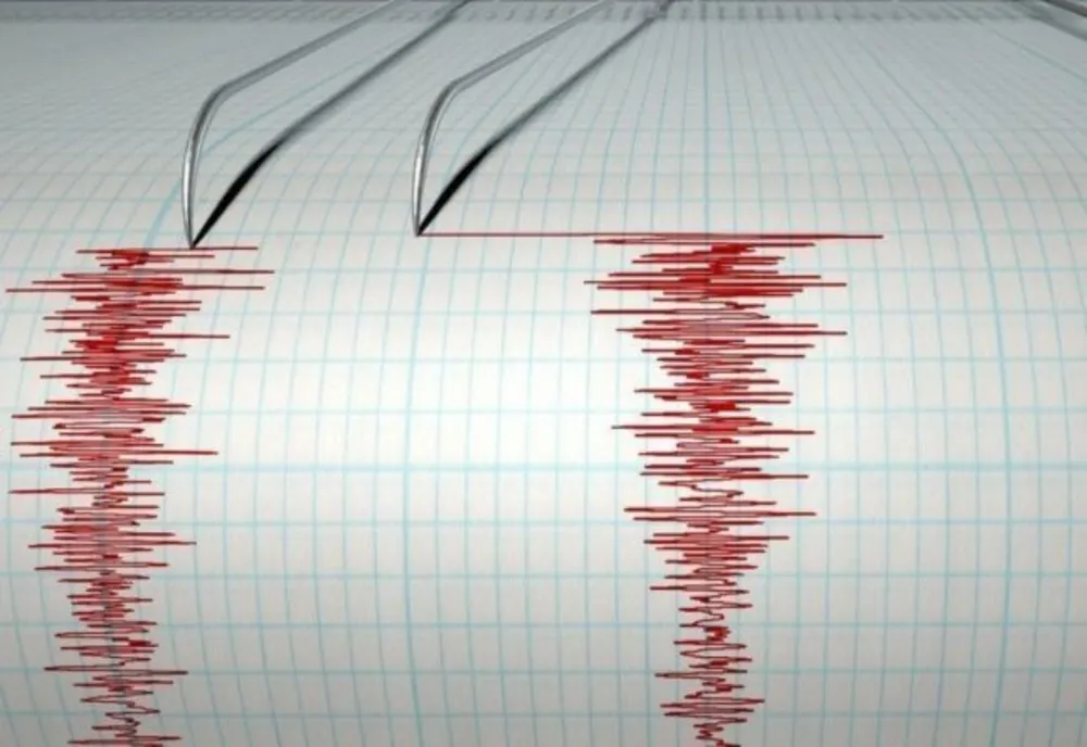 CUTREMUR, duminică seara, în România. Ce magnitudine a avut și unde s-a resimțit seismul