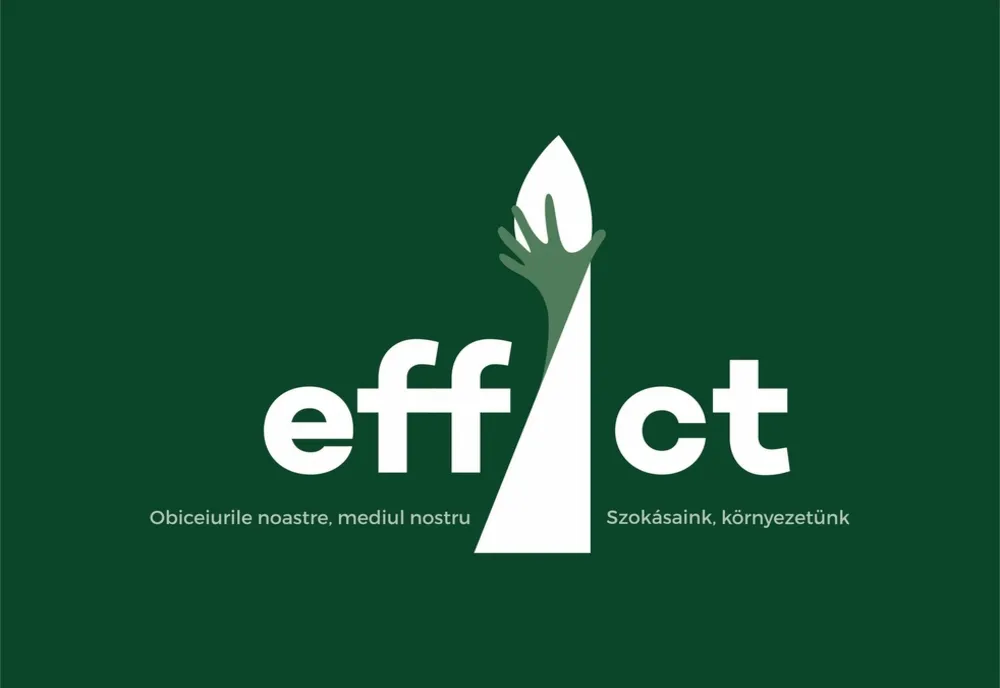 Programul effAct a fost lansat!