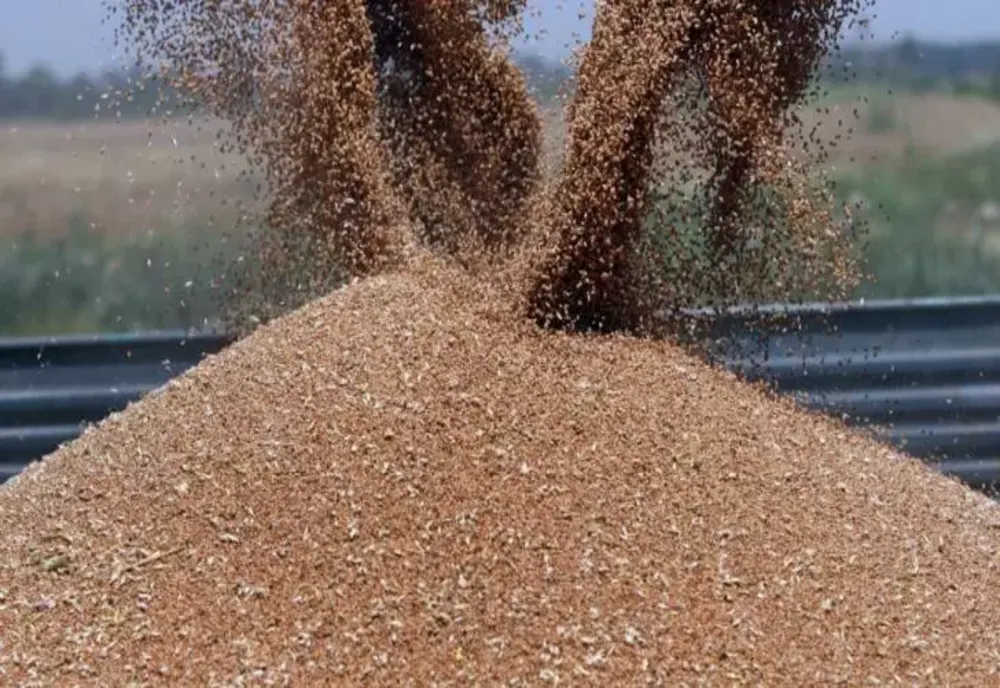ONU, în contact cu Rusia asupra suspendării acordului de export a cerealelor ucrainene