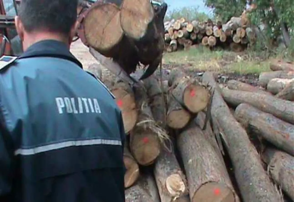 Mobilizare generală a oamenilor legii din Covasna pentru combaterea delictelor silvice