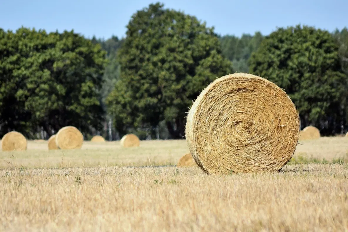 ITM Covasna a aplicat avertismente pentru nereguli de securitate în agricultură