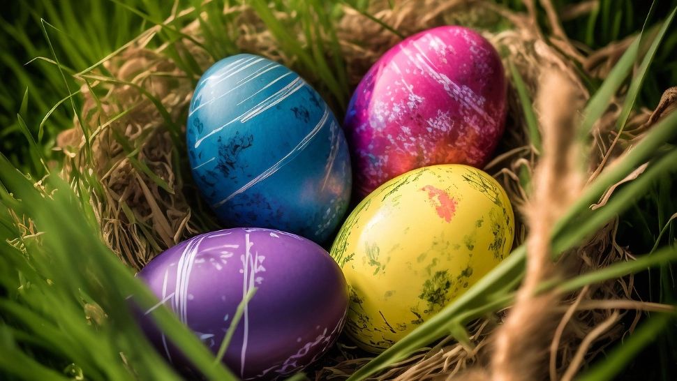 Cum poți știi dacă ouăle sunt bune. Testul prin care îți dai seama dacă poți să le consumi