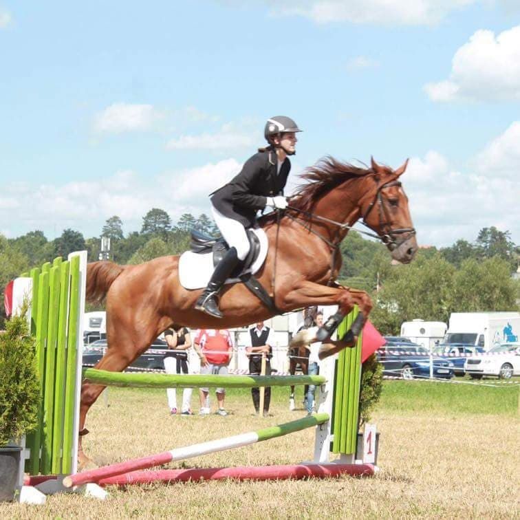 Concurs de sărituri peste obstacole lângă Sfântu Gheorghe