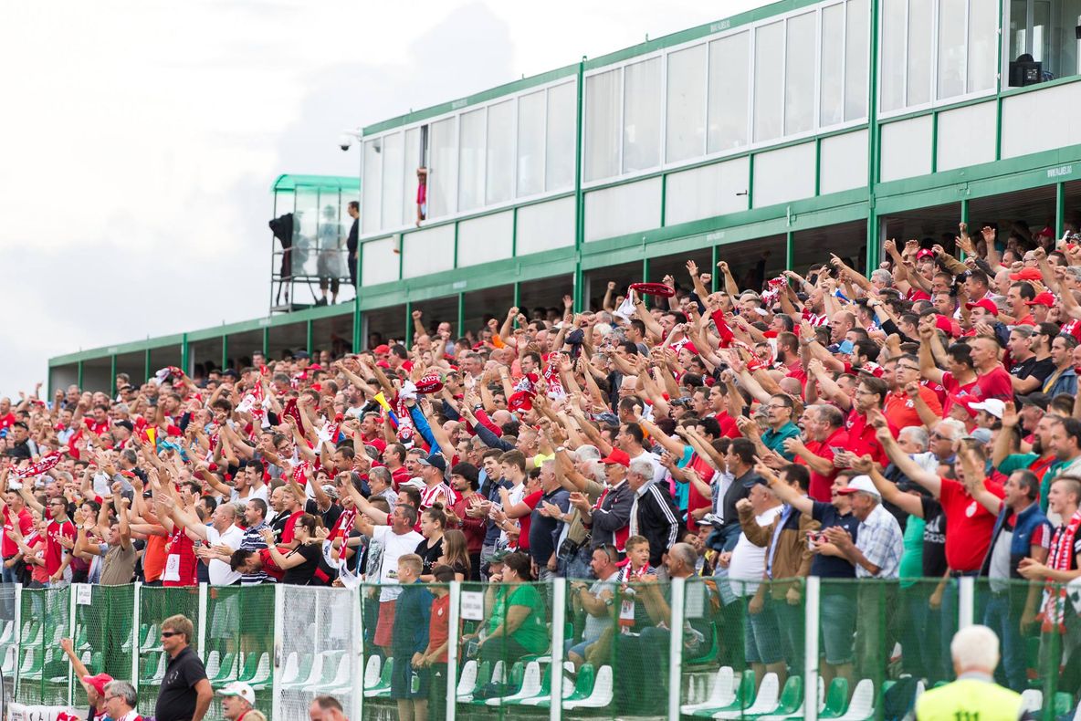 Se pun în vânzare bilete pentru Sepsi OSK - Dinamo București