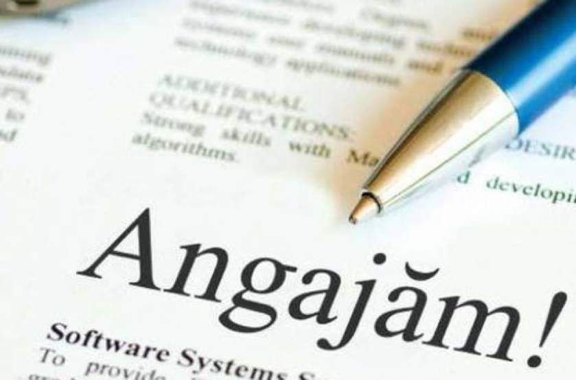 Aproape 400 de locuri de muncă vacante în judeţ, cele mai multe pentru necalificaţi