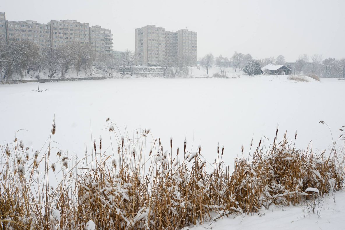 Până în luna martie va fi depus proiectul pentru reabilitarea Lacului de la Gară
