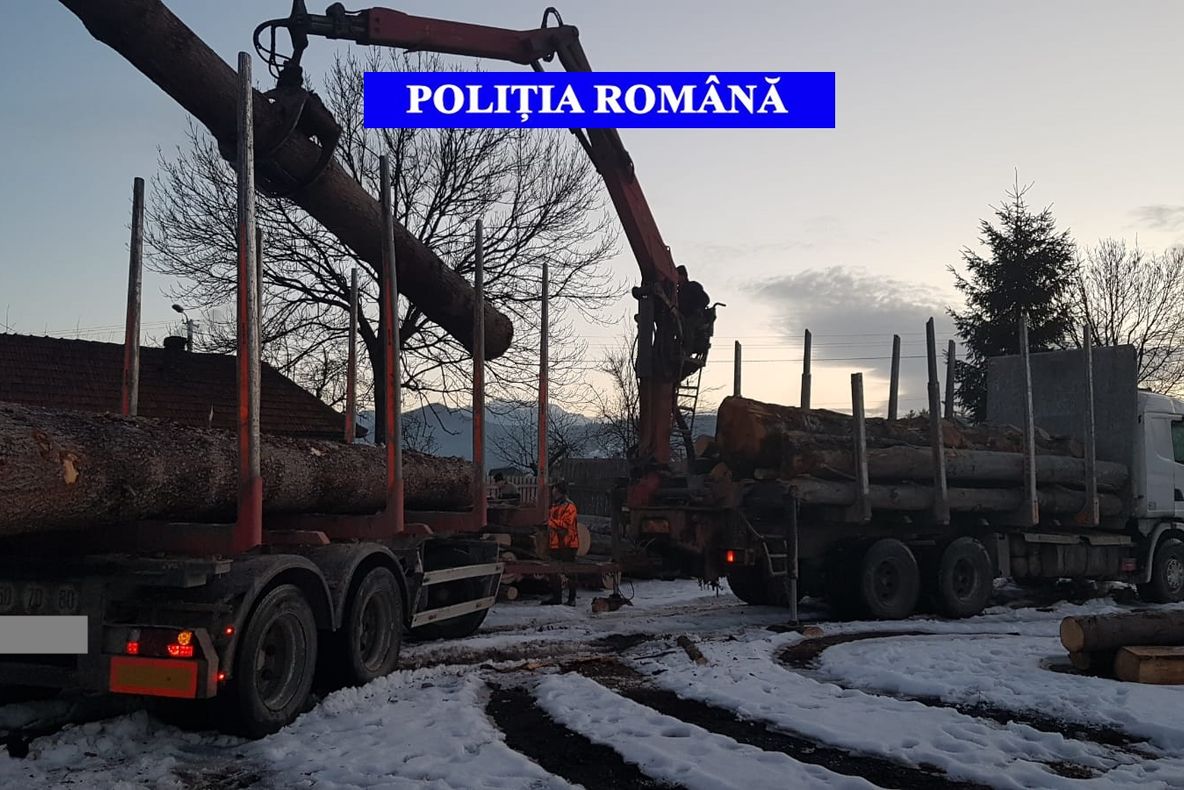 Peste 20mc de lemn ilegal confiscat de poliţiştii covăsneni