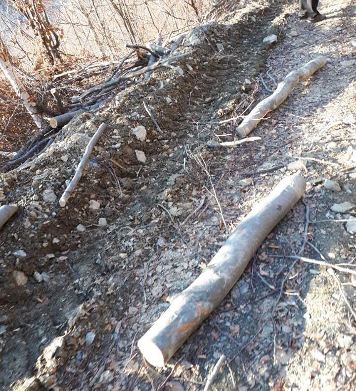 Finala concursului de talente muzicale pentru persoane cu dizabilități, sâmbătă, la Sfântu Gheorghe