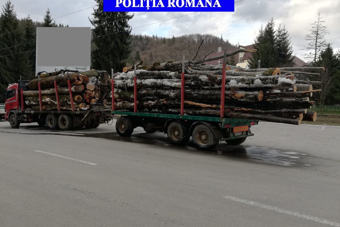 Amenzi de mii de lei în urma unor controale în domeniul silvic