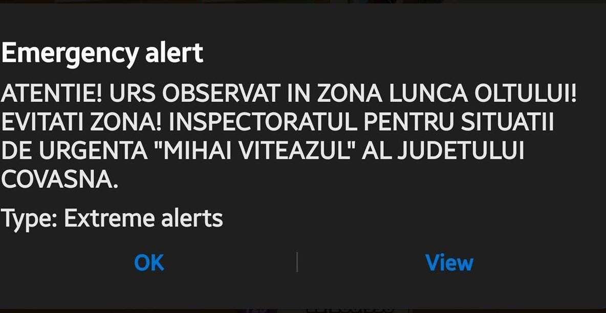 Alarmă Ro-Alert la Sfântu Gheorghe: Un urs a fost observat miercuri dimineaţă pe Lunca Oltului