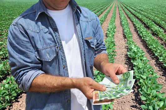 Fermierii covăsneni au început să depună cereri pentru subvenții la APIA