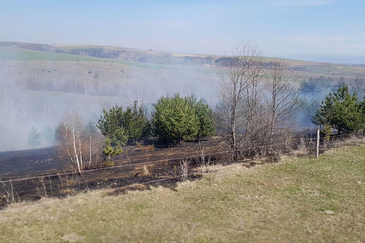 Şapte incendii de vegetaţie în weekend în judeţul Covasna