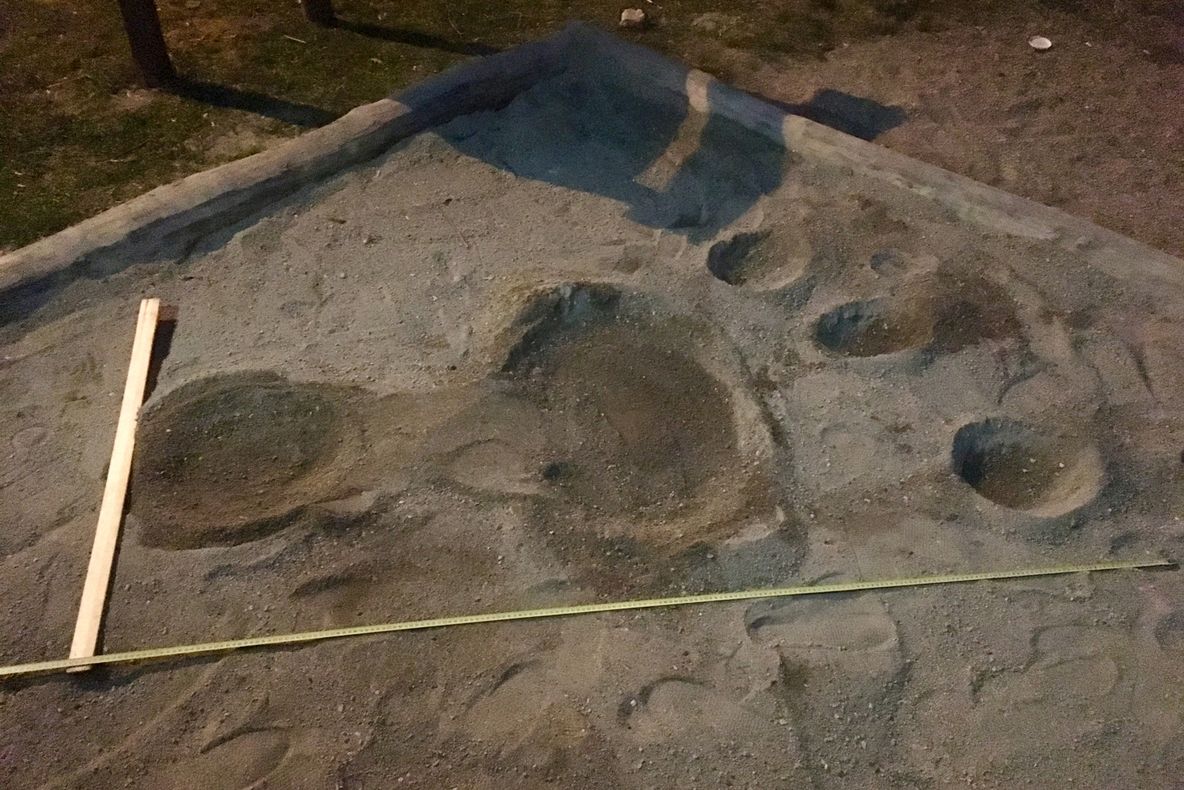 Dispariție ciudată la Sfântu Gheorghe. O tânără a fost răpită de un balaur?!