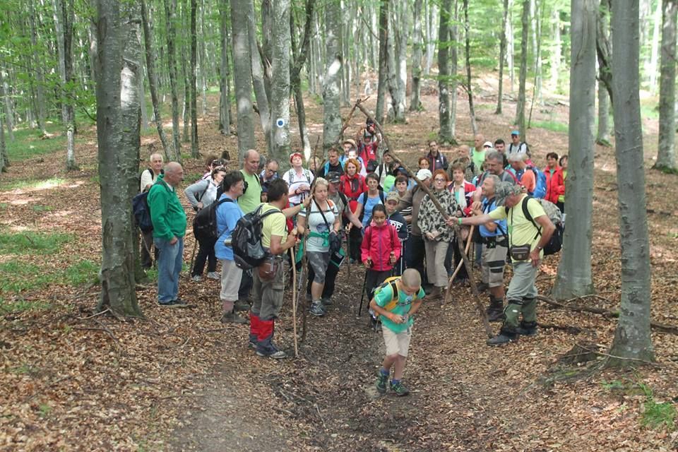 Consiliul Judeţean a lansat apelul pentru proiectele ONG-urilor și unităților de cult