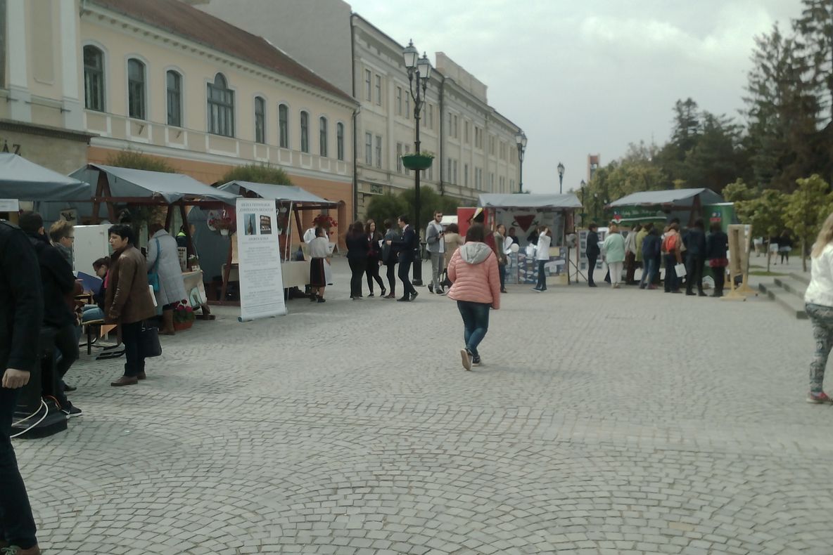 Târgul ofertelor educaționale pentru elevii claselor a VIII din Sfântu Gheorghe