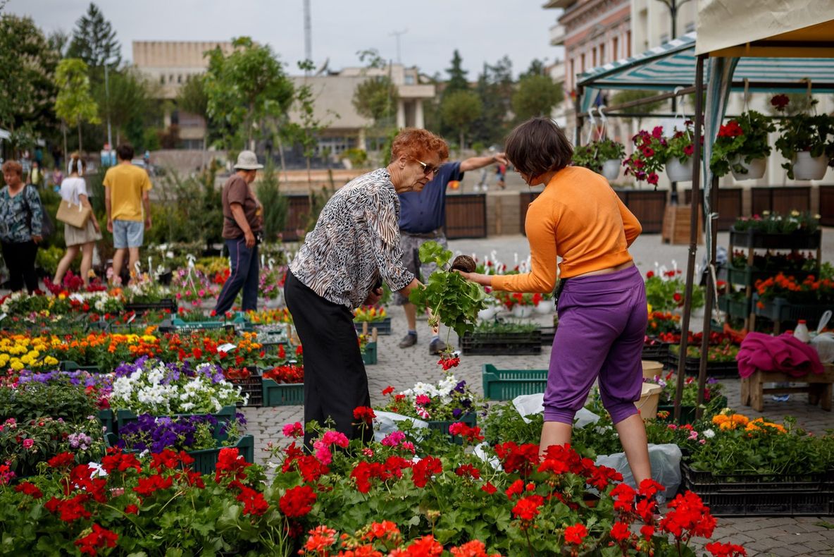 Expoziție și târg de flori și grădinărit, în weekend, la Sfântu Gheorghe