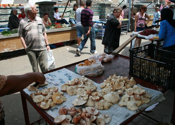 Ciupercile sunt verificate gratuit în Piaţa din Sfântu Gheorghe