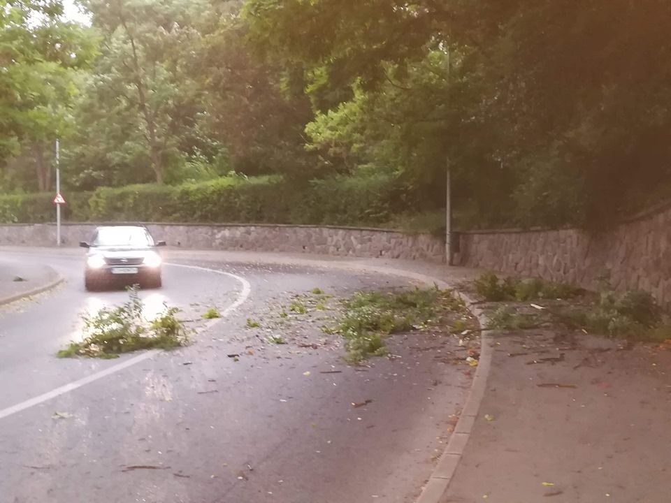 Crengi și copaci căzuți pe carosabil, după vijelia de joi seara