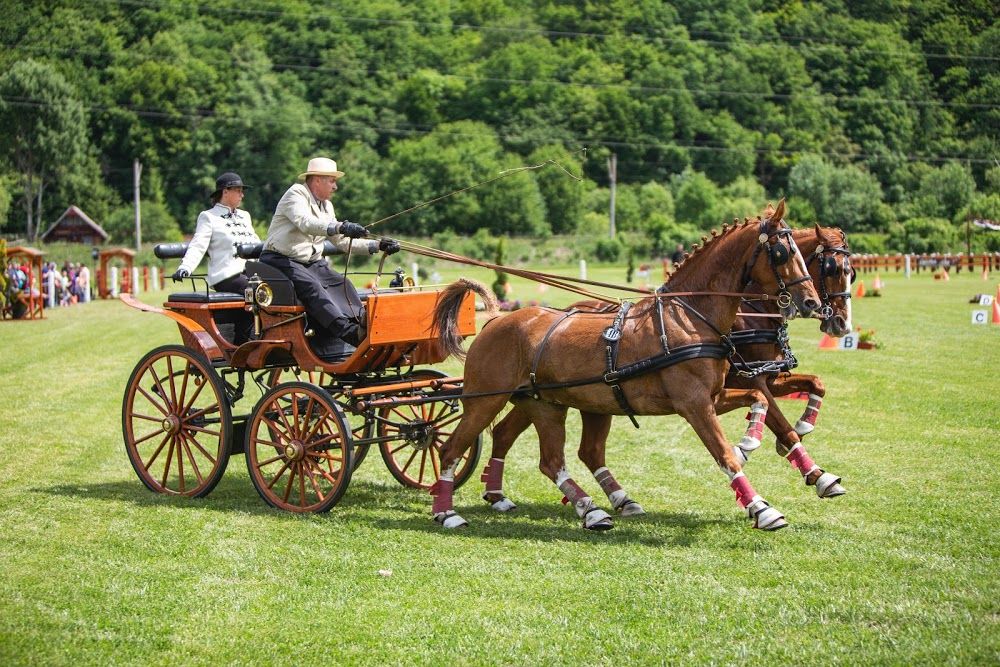 La Olteni încep Zilele ecvestre covăsnene