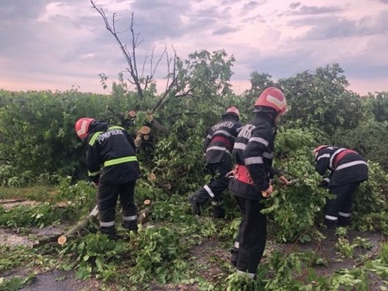 Pompierii covăsneni, solicitaţi să intervină pentru degajarea mai multor copaci căzuţi