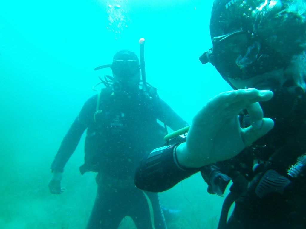 Scufundările cadou și team building-urile în lacul de la Dalnic, la mare căutare
