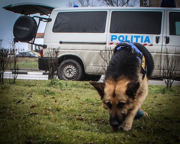 Copilă de 14 ani dispărută de acasă, găsită de polițiști