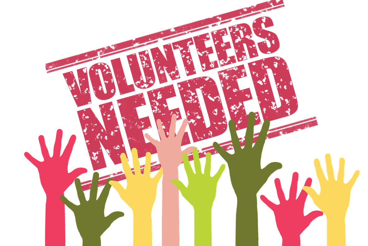 Organizatorii Festivalului pulzArt caută voluntari