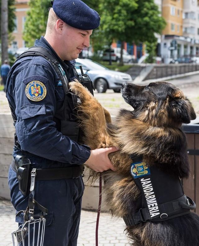 Peste 2.200 de misiuni ale Jandarmeriei Covasna în prima jumătate a anului