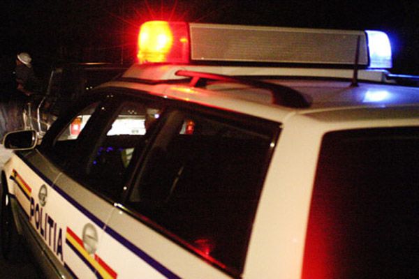 Au făcut accident cu maşina, dar i-au înscenat accidentul unui... urs!