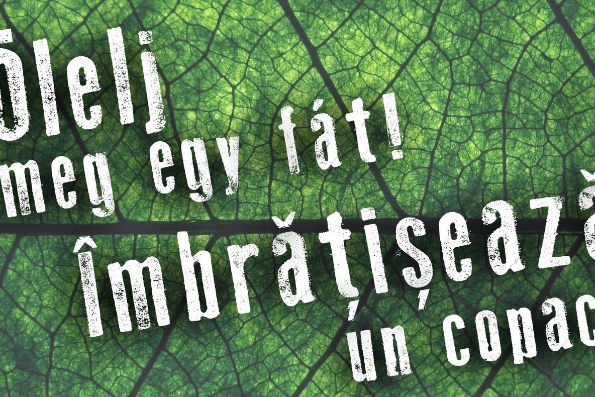 Îmbrăţişează un copac! O nouă acţiune a ecologiştilor pentru protejarea pădurii  Honvéd