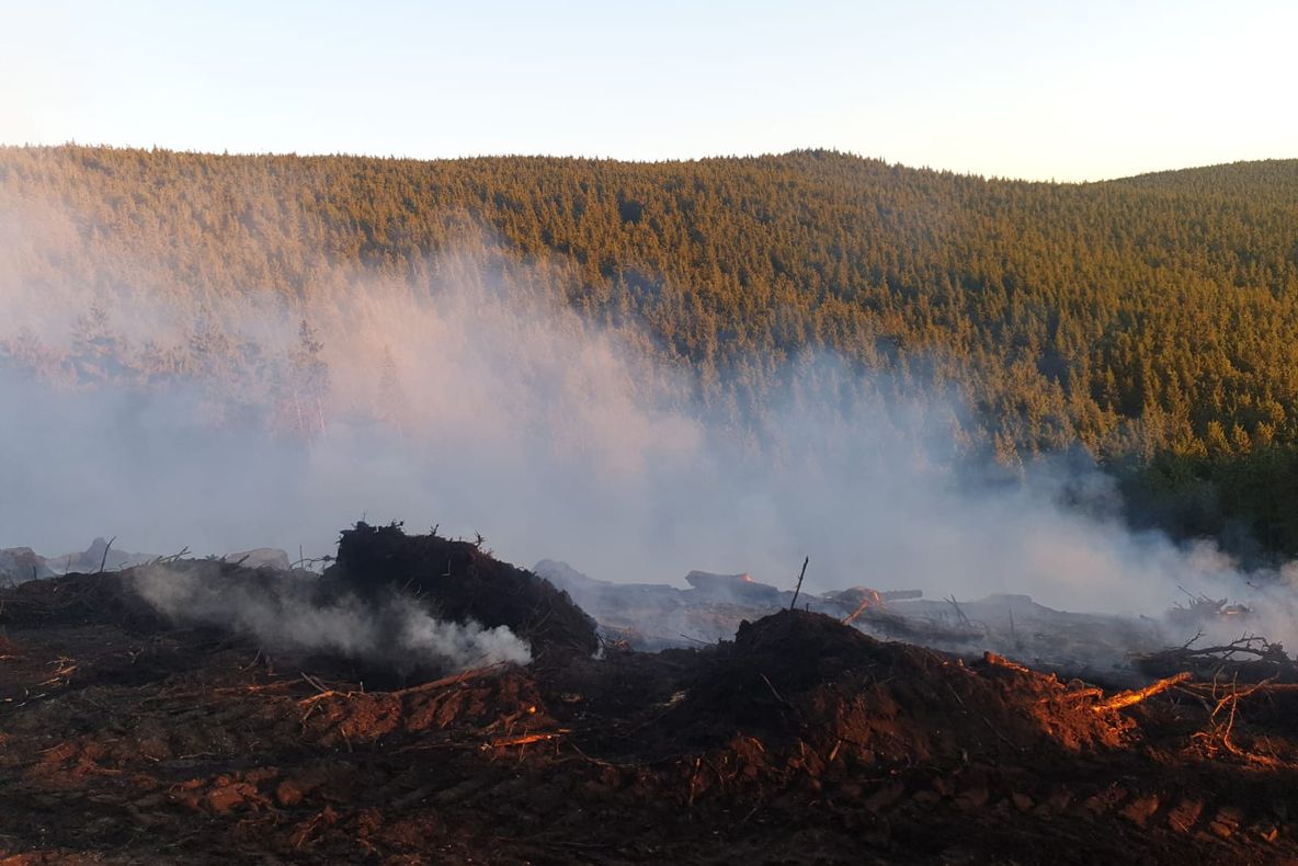 Incendiu de pădure în zona Apa Roşie. Pompierii au intervenit aproape 6 ore!