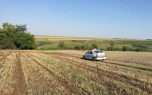 Miros insuportabil la Sfântu Gheorghe, din cauza dejecţiilor de păsări