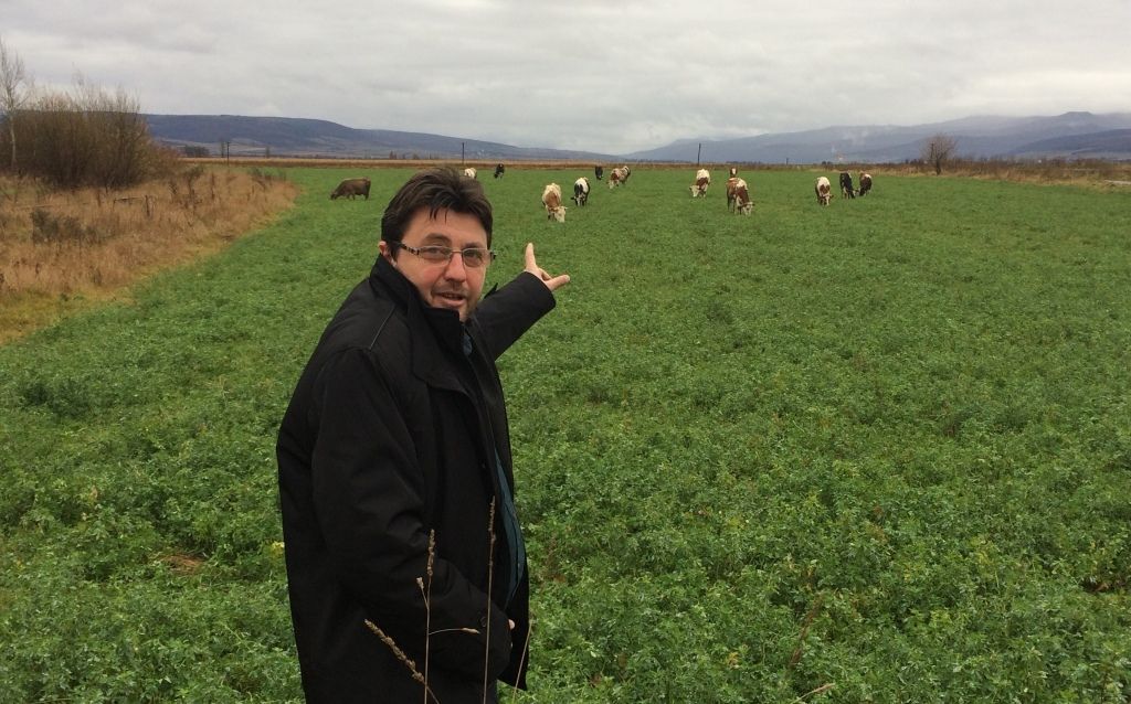 Direcția Agricolă Covasna susține că respectarea Ordinului 119 ar însemna desființarea a 2/3 din fermele din județ