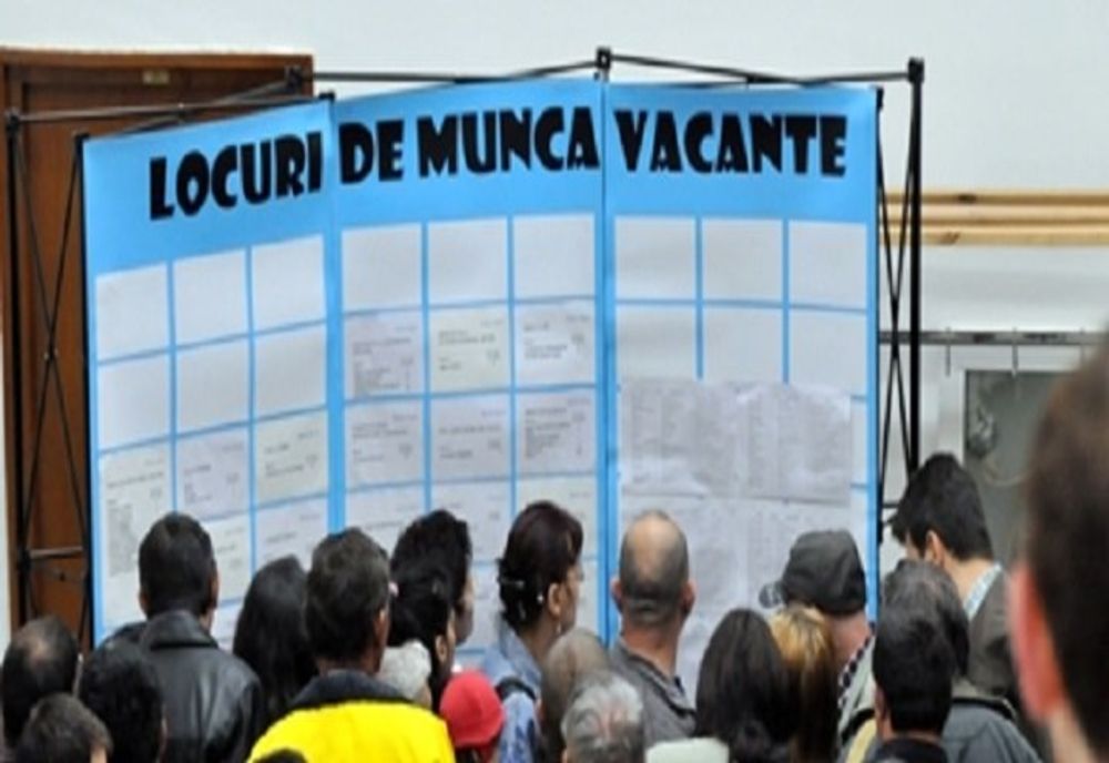 Peste 190 de persoane angajate în noiembrie prin AJOFM  Covasna