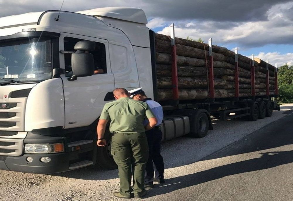 Amenzi și material lemnos în valoare de zeci de mii de lei, în ultima săptămână, în județul Covasna