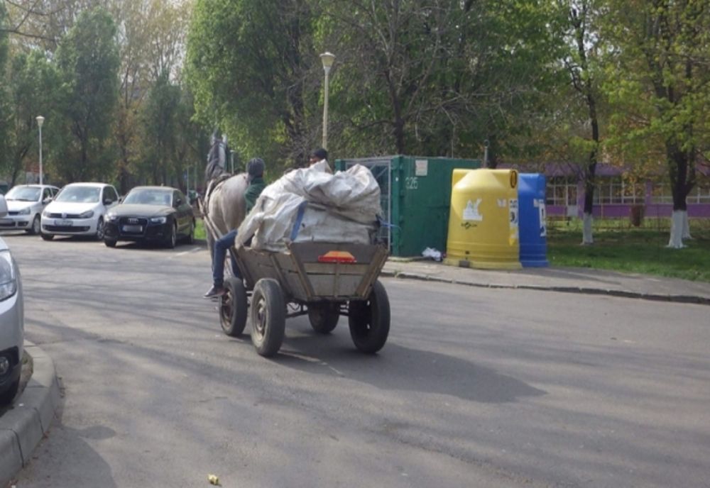 Prinşi după ce au furat mai mulţi baloți de fân