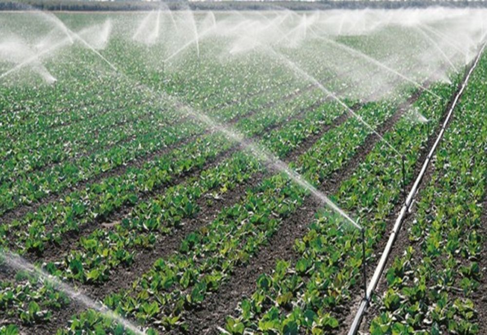 Suprafaţa agricolă irigată în Covasna s-a dublat în mai puțin de doi ani